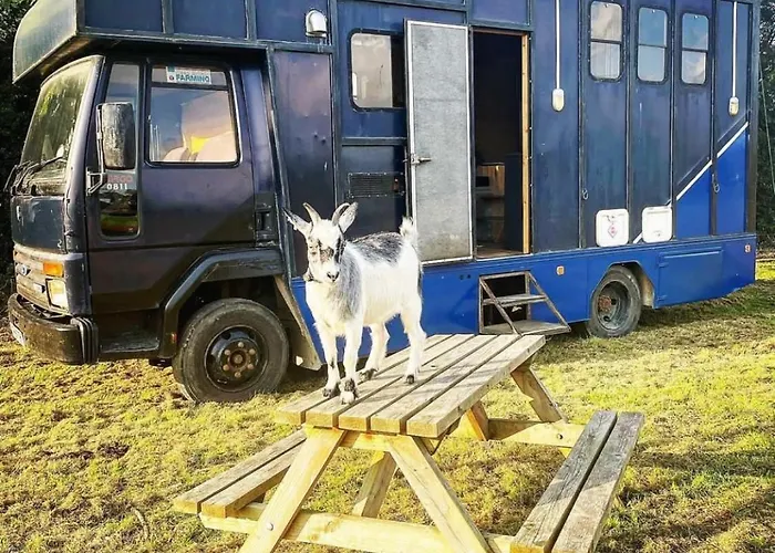North Yorkshire Horse Box