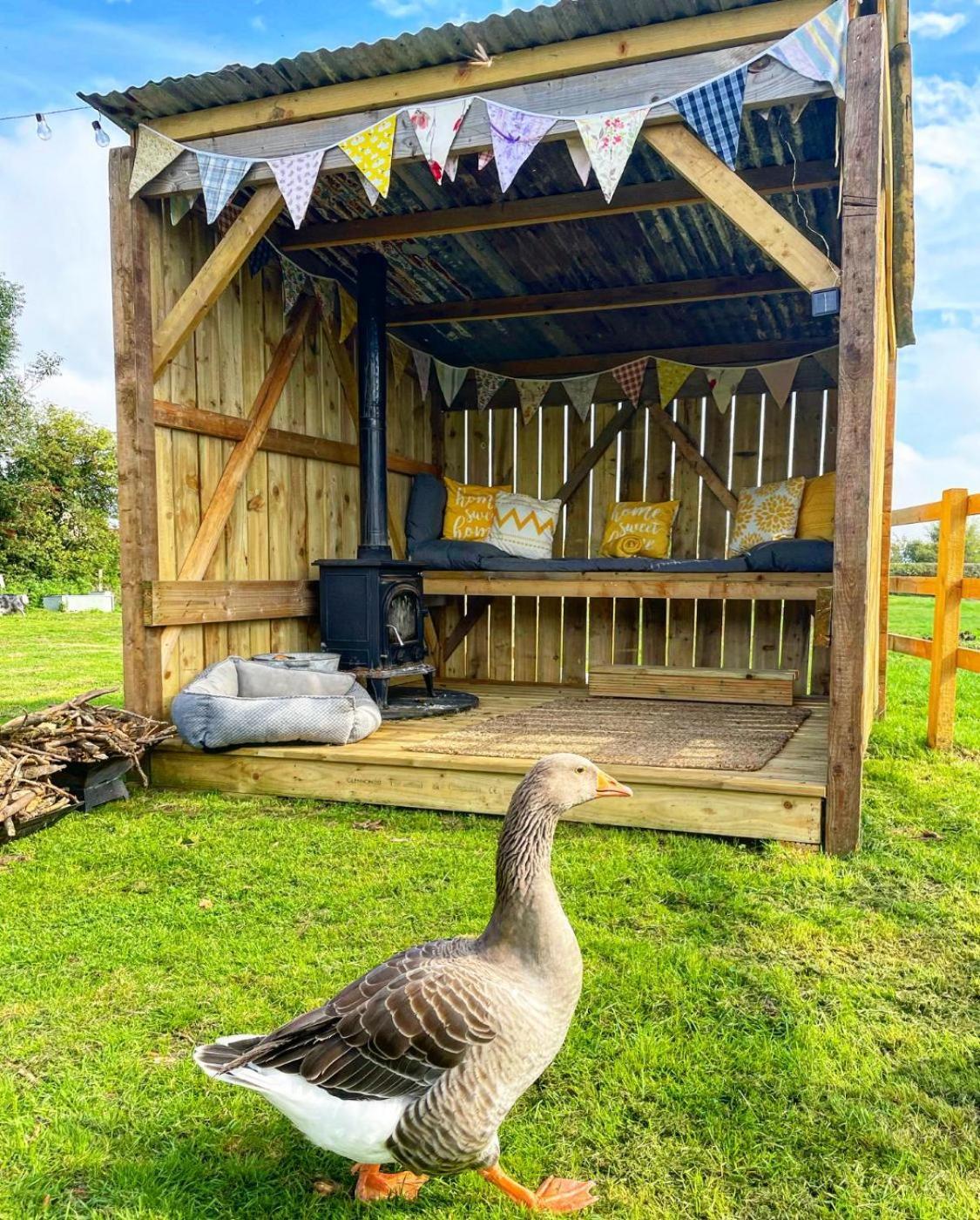 North Yorkshire Horse Box Tenda de luxo
